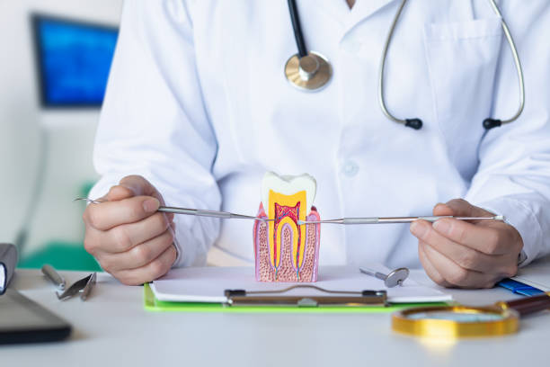 Best Emergency Broken Tooth Repair in Archer Lodge, NC